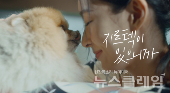 지르텍 대중광고 영상. 지오영 제공