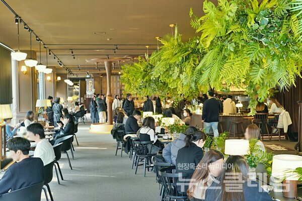 오픈 2주차를 맞아 여름 계절로 꾸민 가나 초콜릿 하우스 실내. 롯데웰푸드 제공