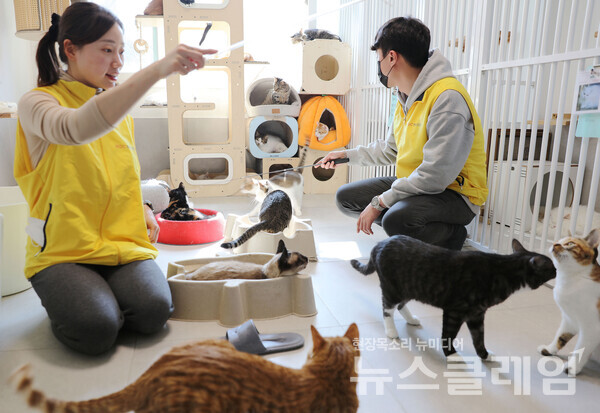 HDC현대산업개발 임직원은 지난 21일 본부별 릴레이 첫 봉사로 용산구 동물보호소를 방문해 시설청소 봉사와 유기 동물을 위해 사용될 사료를 기부했다. HDC현대산업개발 제공