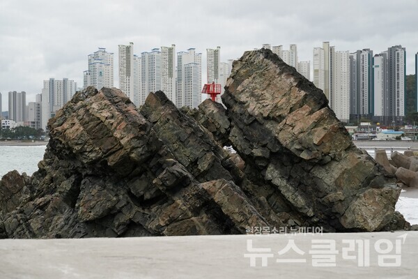 울산의 강동신도시 아파트 숲을 바라보고 있는 이 바위는 마치 수반 위에 앉힌 수석처럼 보였다. 사진=오근식 객원위원