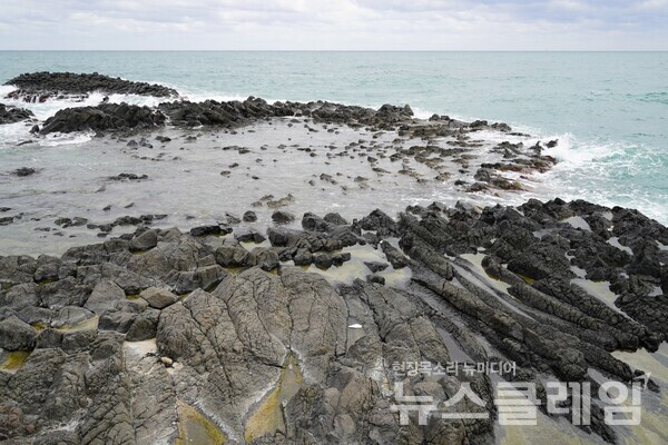 양남면에서는 약 1km의 해안 길을 걸으며 다양한 형태의 주상절리를 감상할 수 있다. 사진=오근식 객원위원