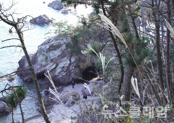 동서남북을 지키는 네 마리 용이 살았다는 사룡굴과 감포마을을 지키는 용 한 마리가 살았다는 단용굴을 지나는데 시간이 촉박해 내려가 살피지는 않았다. 12월-1월 중순에 이곳에서 동굴 사이로 떠오르는 해를 사진으로 담을 수 있다고 한다. 일출명소로 이미 소문이 나 있으니 자리 경쟁이 치열할 듯하다. 사진=오근식 객원위원