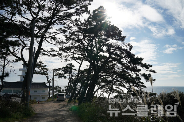 현재 송대말등대의 건물은 감포항과 경주에 관한 다양한 내용을 빛의 형태로 소개하는 ‘빛체험전시관’과 등대기능이 결합되어 운영되고 있다. 사진=오근식 객원위원