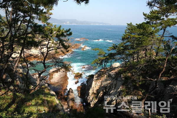 사진3 이름 없는 해변의 모습조차 감탄할 수밖에 없다. ‘멀리 보이는 저곳이 구룡포항일까’ 하는 생각을 하며 드나드는 파도를 즐겼다. 사진=오근식 객원위원