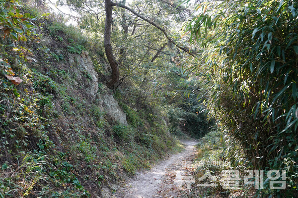 마을로 향하는 길에서 만난 좁은 오솔길인데 오랜 세월 사람들이 다닌 흔적이 보인다. 사진=오근식 객원위원
