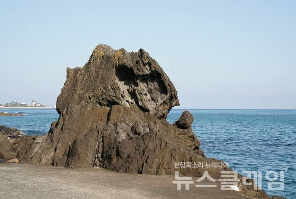 구룡포 가는 길에서 만난 이 바위들도 장기일출암 못지않은 매력과 개성을 보여주고 있다. 어느 집 앞, 길가, 물가에 아무렇지도 않게 버려져 있는 보석이었다. 사진=오근식 객원위원