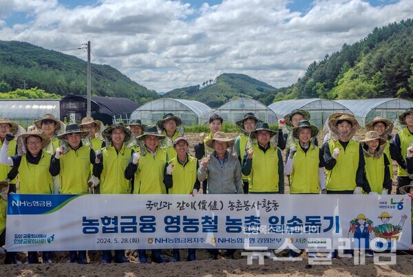 NH농협금융은 28일 강원 춘천 서면에서 영농촌 농촌 일손돕기를 실시했다. 김익수 농협금융 전략기획부문 부사장(앞줄 왼쪽에서 다섯번째)과 김용종 서춘천농협 조합장(앞줄 왼쪽에서 여섯번째), 김기연 농협은행 강원본부장(앞줄 왼쪽에서 일곱번째) 및 봉사단 임직원들이 기념촬영을 하고 있다.  NH농협금융 제공