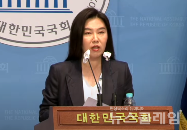 더불어민주당 강유정 원내대변인