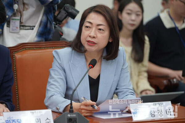 더불어민주당 ​황정아 대변인