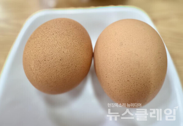 사진=김대식 객원위원