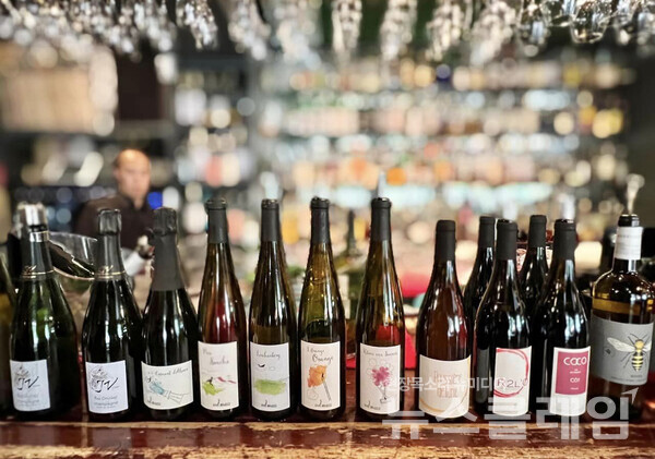 사진=김대식 객원위원