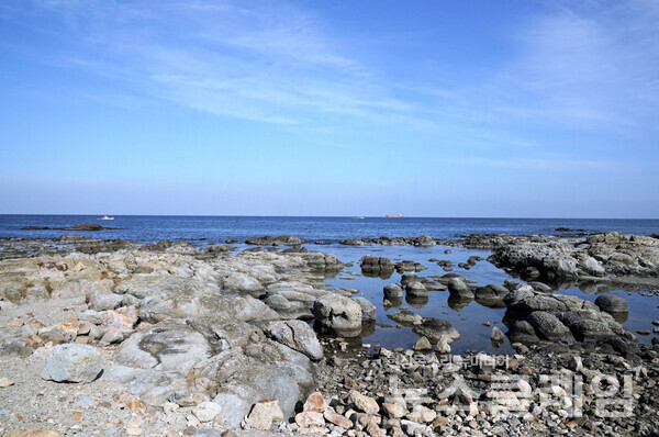호미곶 해안 주변에는 해안단구라는 계단식 지형이 특징적인데 바닷가에서 바라보면 꽤 먼곳까지 평평한 암반이 펼쳐진 듯 보인다. 사진=오근식 객원위원