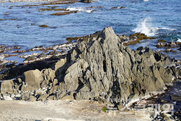 해안의 암반 대부분은 강한 암석이 아닌 탓에 바람과 파도에 깎여 형성된 아름다운 형상의 바위가 곳곳에 흩어져 있다. 사진=오근식 객원위원