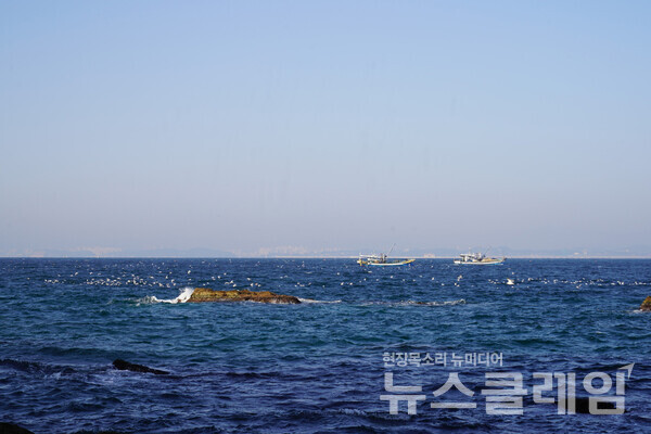 고기잡이를 하고 있는 어선 주위로 갈매기들이 기회를 엿보며 날아들었다. 멀리 희미하고 포항 시내의 건축물들이 보인다. 사진=오근식 객원위원