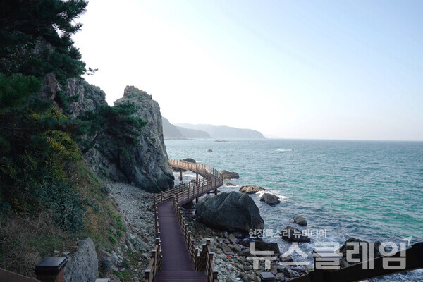 호미반도해안둘레길을 운영하고 있는 포항시에서 설치한 바닷가 산책로다. 아직 해파랑길이 지나는 전 구간이 이 방식으로 정비되어 있지는 않아, 때로는 바닷가 자갈길을 걷고 때로는 언덕을 오르내리기도 한다. 그 어느 곳에 서든 눈앞에 펼쳐진 아름다움은 변함이 없다. 사진=오근식 객원위원