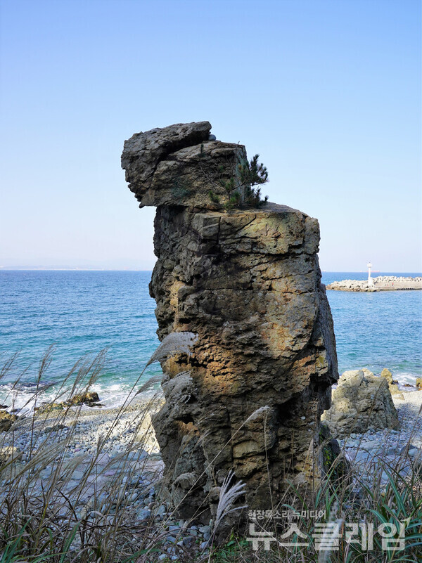 장군이 아이를 업고 영일만으로 들어가는 형상의 이 바위가 장군바위다. 사람들은 왜 어미나 할매가 아니라 남성인 장군이 아이를 업고 있다고 생각했는지, 장군바위의 사연이 궁금했다. 사진=오근식 객원위원
