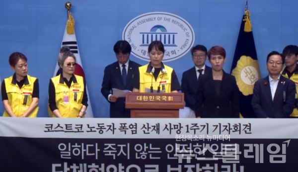 19일 오전 서울 여의도 국회 소통관에서 열린 '코스트코 폭염산재사망 1주기 기자회견'에서 발언 중인 마트노조 코스트코지회 이미현 지회장
