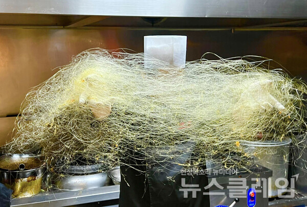 사진=김대식 객원위원