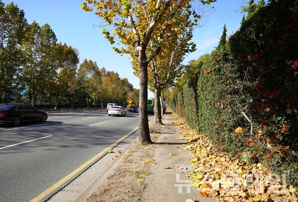 제철소 담장길은 끝이 없는 듯 계속되다가 형산강에 이르러서야 방향을 바꾸었다. 사진=오근식 객원위원
