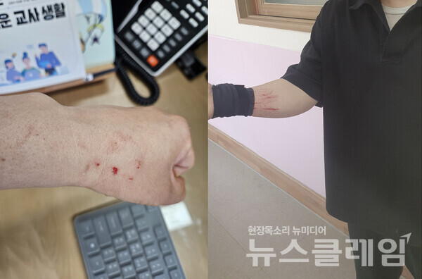 사진=전북교사노조