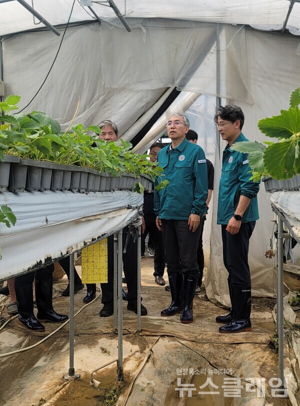 이석준 NH농협금융지주 회장이 경북 소재 딸기농가 수해 피해 현장을 방문하고 위로했다. NH농협금융지주 제공