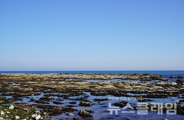 해파랑길18코스는 바다의 너럭바위와 온갖 모습의 기암괴석이 끝없이 따라오는 길이다. 사진=오근식 객원위원