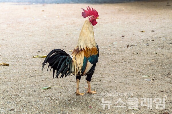 사진=정보철 편집위원