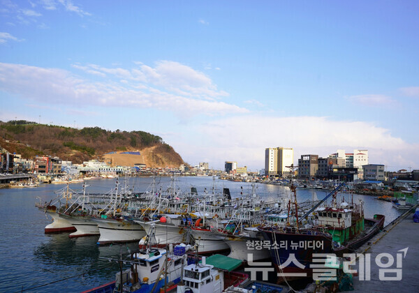 영덕 강구항 부근엔 대게 식당들이 빼곡해 어느새 우리나라에서 가장 잘 알려진 대게 산지가 되었다. 구룡포, 후포리 등의 지역과 치열하게 경쟁하고 있다. 사진=오근식 객원위원
