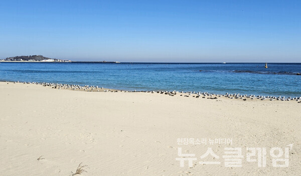 후포항에 정박해 있는 큰 배가 보이는 해변에 섰을 때는 오후가 기울고 있었는데 아직 하늘엔 구름 한 점 없고, 아무렇지도 않은 바닷새들은 아무렇게나 모래 위에 모여 편안함을 즐기고 있었다. 아무런 일없이 걷고 있으니 다행이다 싶은 날이었다. 사진=오근식 객원위원