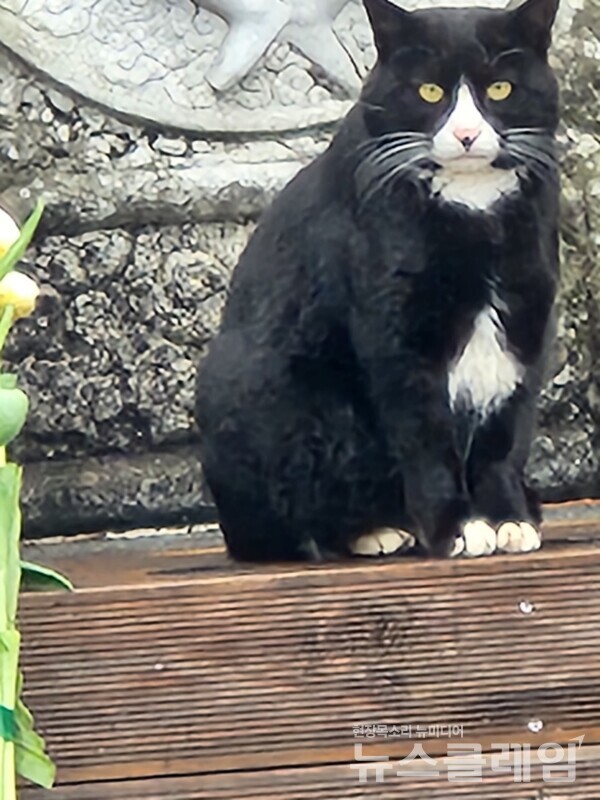 사진=정보철 편집위원