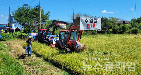 전국농민회총연맹 강원도연맹이 지난달 30일 철원 동송읍 오덕리의 한 농가의 논을 갈아엎으며 쌀값 보장을 촉구했다. 사진=전농 강원도연맹