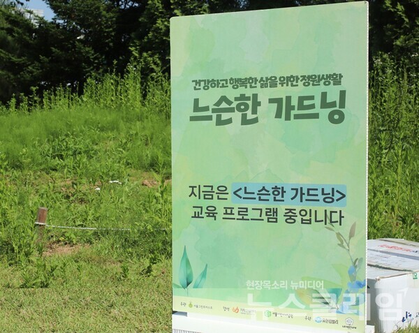 유한킴벌리(대표이사 사장 진재승) 여성용품 브랜드 좋은느낌 라네이처가 도심 내 녹지 불균형 해소와 기후변화 대응에 동참하기 위해 ‘느슨한 가드닝’ 식재 사업을 후원했다고 6일 밝혔다. 유한킴벌리 제공