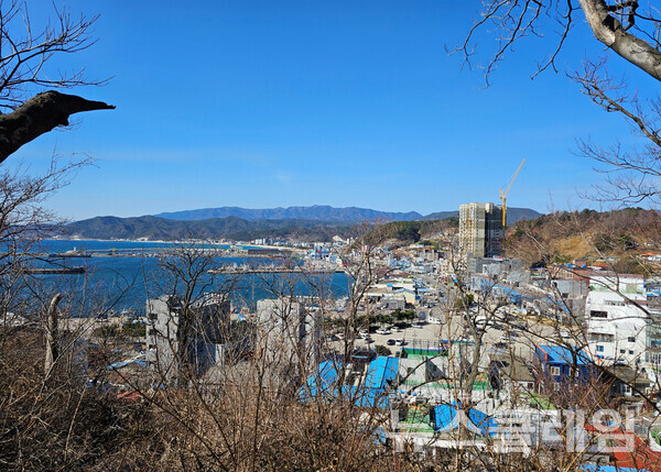 울진 후포항은 포항 구룡포, 영덕 강구안과 함께 우리나라의 3대 대게 집산지다. 대게뿐 아니라 관광지로서도 손색이 없다. 등기산은 해발 53.9미터에 불과해 누구든 힘들이지 않고 오를 수 있는데 이곳에서의 후포 풍경은 해발 수천 미터의 어느 높은 곳의 풍경보다 못하지 않다. 사진=오근식 객원위원