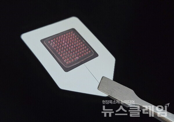 대웅제약이 개발 예정인 용해성 마이크로니들 패치. 대웅제약 제공