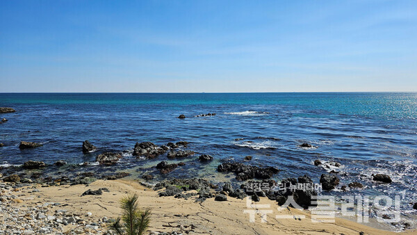 거일2리에 도착해서 다시 살펴보니 그리 멀지 않은 바다 여기저기에 잠긴 미역짬이 보이는 듯했다. 지나가는 이에겐 그저 아름다운 푸른바다지만 이곳 주민들에게는 밭이고 논이다. 사진=오근식 객원위원
