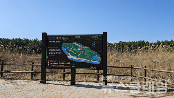 평해남대천이 바다와 만나는 곳에 형성된 습지는 생태공원으로 조성되어 걸으며 사구, 습지식물, 새 등을 관찰할 수 있다. 사진=오근식 객원위원