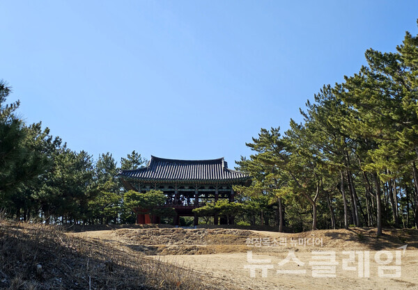 평해사구습지 생태공원을 지나 잠시 바닷가를 걸으면 관동팔경 중 가장 남쪽에 있는 월송정이 모습을 드러낸다. 사진=오근식 객원위원