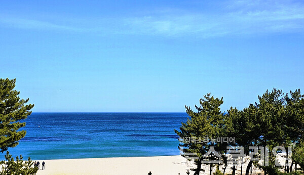 월송정에 오르면 창해무변(滄海无邊)의 동해바다와 마주한다. 사진=오근식 객원위원