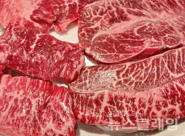 사진=김대식 객원위원