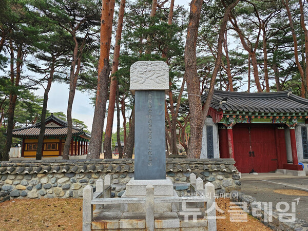 솔숲에 넓게 터를 잡은 이 건물들은 평해황씨 시조단이고 그 뒤에 우리나라에서 가장 낮은 산인 굴미봉 (해발 2.9m)이 있다. 앞의 비석은 평해황씨 문중의 독립운동가 국오 황만영 (鞠塢 黃萬英) 선생의 행적을 기록한 기념비다. 사진=오근식 객원위원