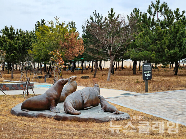 구산해수욕장의 방품림 뒤에 독도생태마당이라는 아담한 공원이 조성되어 있다. 이제는 사라진 독도강치 조형물이 눈길을 끌었다. 사진=오근식 객원위원