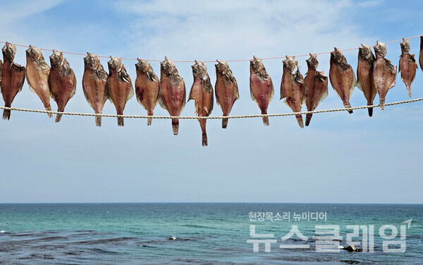 바닷가에 줄을 달아 생선을 말리고 있었는데 바다 위의 하늘은 이마저도 그림으로 만들고 있었다. 사진=오근식 객원위원