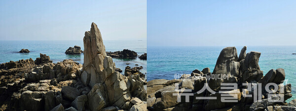 망양정 옛터를 벗어나 북쪽을 향해 걷다 보면 무심히 지나치기엔 많이 아쉬운 바위가 끝없이 나타난다. 바위들은 촛대가 되기도 하고, 새 한 마리를 얹거나, 물개가 되거나, 소나무를 키워 마치 불꽃이 흔들리는 듯한 모습을 만들거나 아니면 무리가 되어 춤을 추기도 한다. 사진=오근식 객원위원