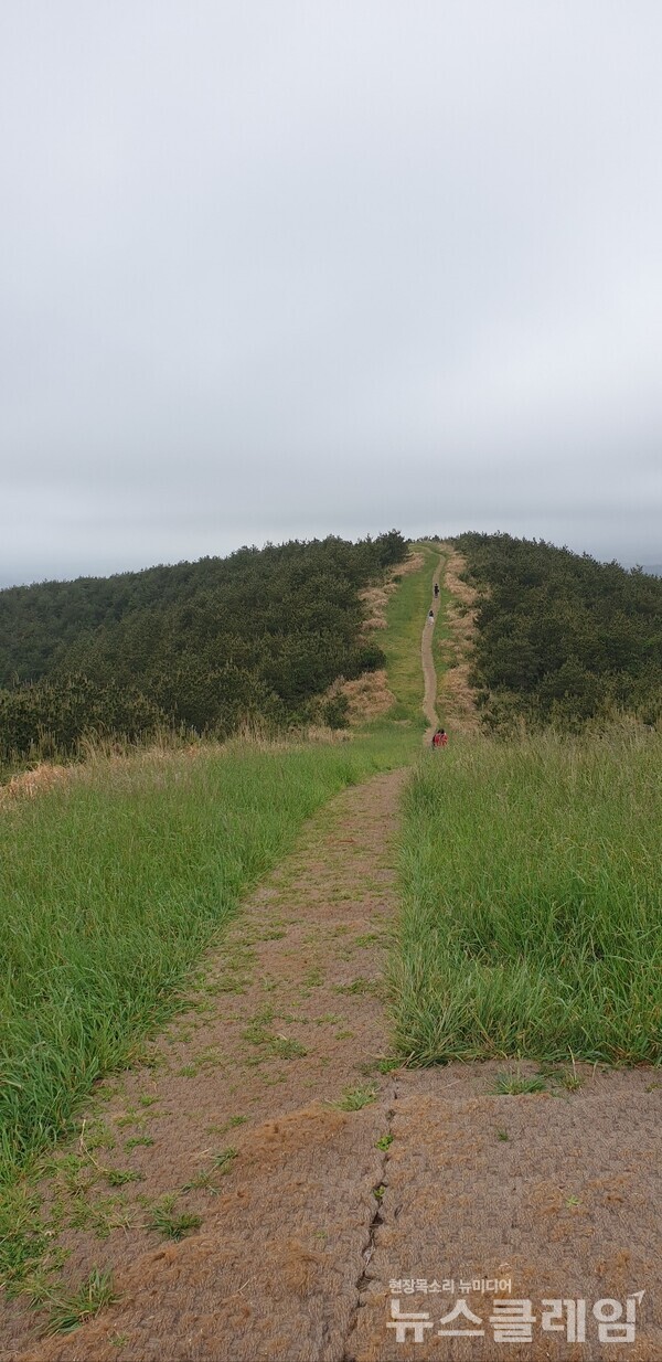 사진=정보철 편집위원