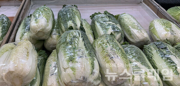 서울 한 마트에 배추가 진열돼 있다. 사진=김옥해 기자
