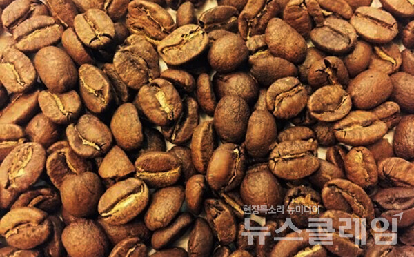 사진=김옥해 기자