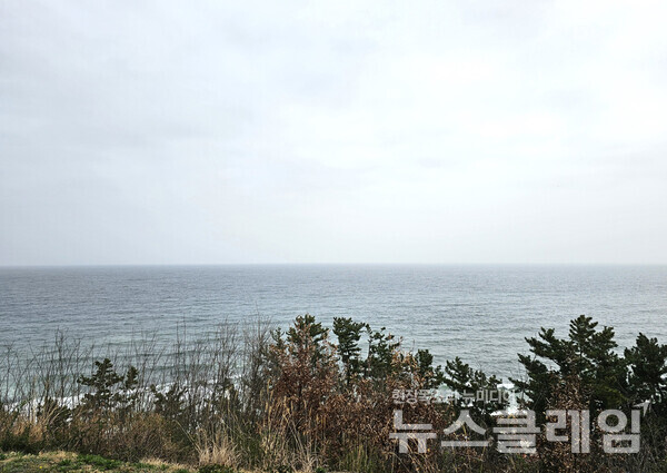 세 번째 찾아간 날 망양정에서 보이는 동해는 흐린 날씨가 하늘과 바다색의 아름다움을 방해했지만, 장쾌한 맛까지 방해하지는 못했다. 사진=오근식 객원위원