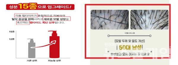 탈모 관련 화장품의 표시·광고 위반 유형 및 광고 문구. 사진=식약처