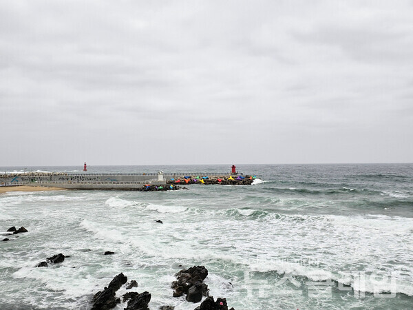 비바람 때문에 걷기를 쉬었지만 동해 어달해변의 숙소에서 들이치는 파도를 바라보며 시간을 보냈다. 사진=오근식 객원위원