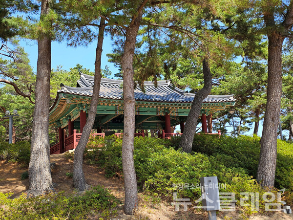 연호 가장자리의 솔숲에 있는 연호정은 조선말 순조 때 처음 세워졌으나 퇴락하고 1922년 일제강점기에 동헌 객사 건물을 옮겨 다시 지었다. 사진=오근식 객원위원